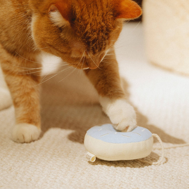 Aesthetic cat toys: orange cat playing with blue donut toy made from organic cotton and soft felt.