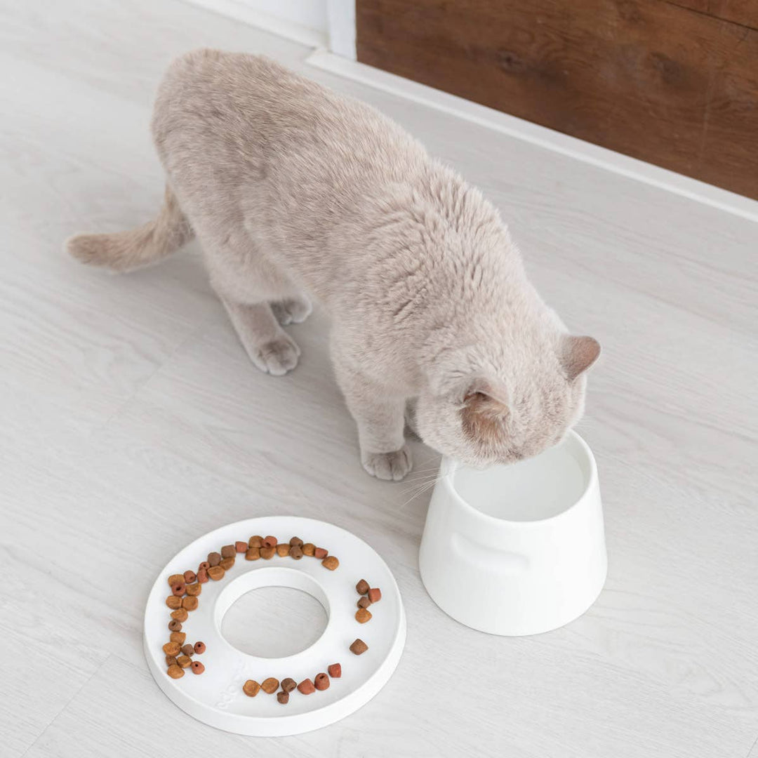 pet feeding bowls