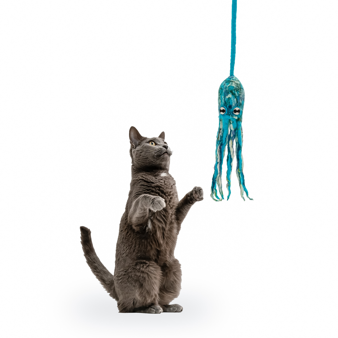 Wool Octopus Cat Toy with 4-Foot Tether