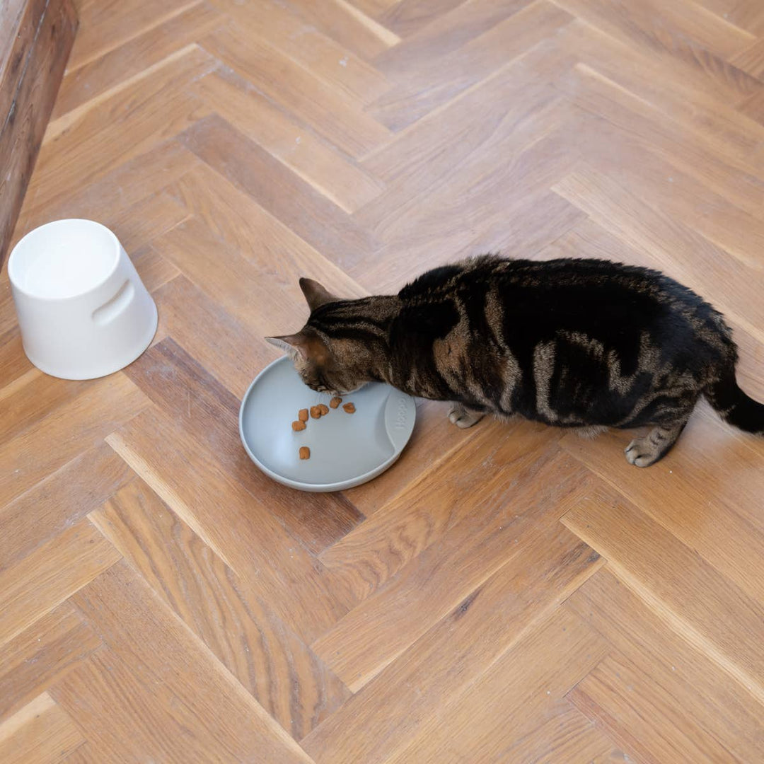 Cat eating from a grey Plate cat food bowl made of durable porcelain, preventing whisker fatigue, on a wooden floor.