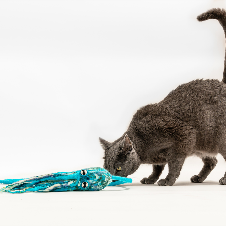 Wool Octopus Cat Toy with 4-Foot Tether
