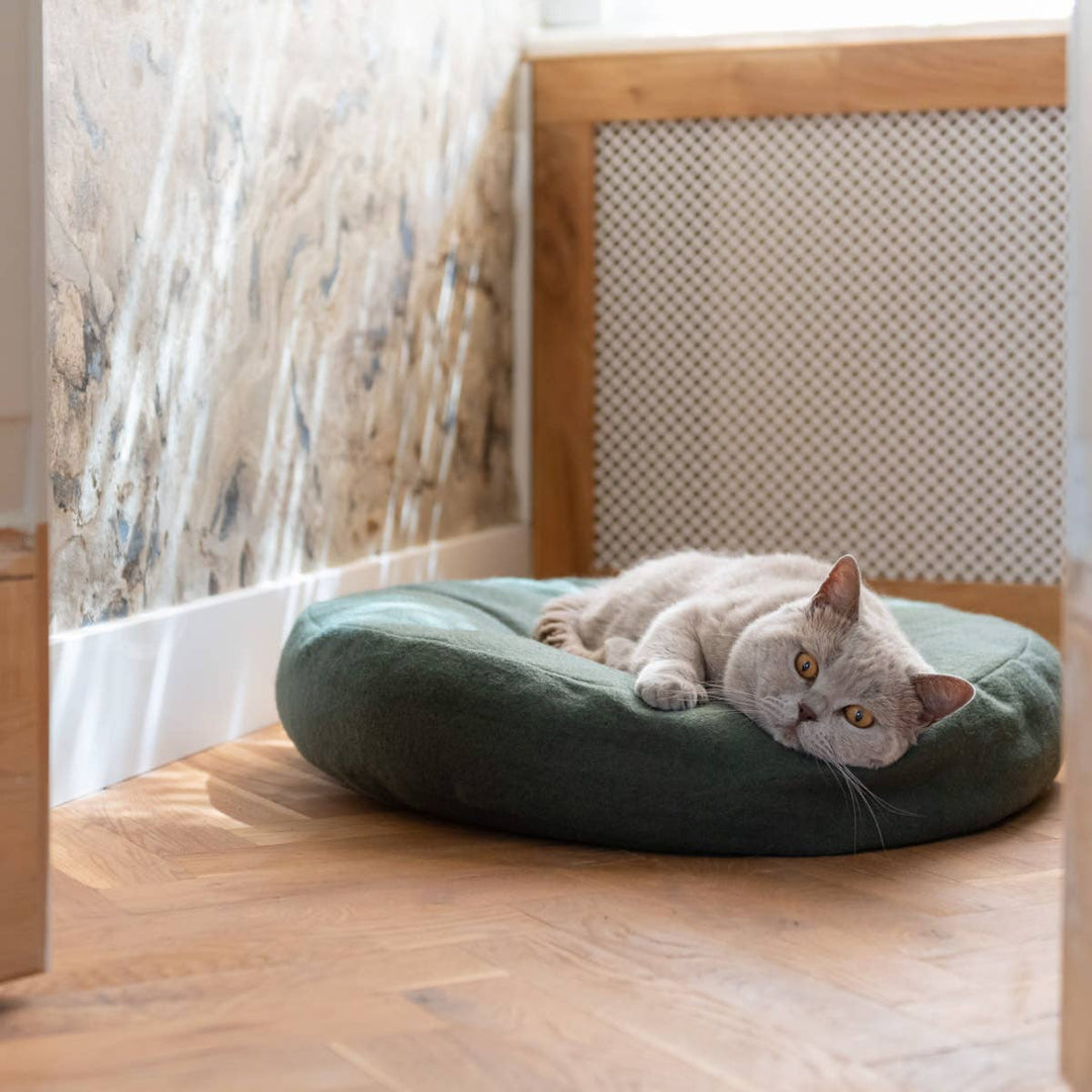 Gray cat lounging on a soft donut-shaped cat bed in a cozy corner with wooden flooring and eclectic wall decor