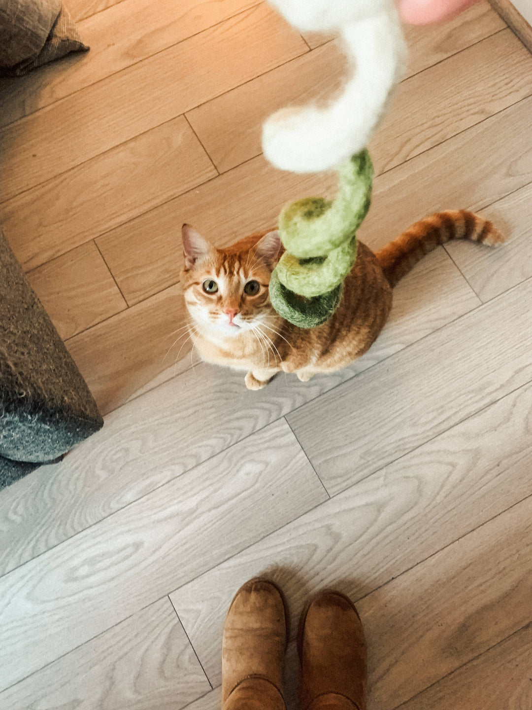 Piper’s peppermint woolly spiral 