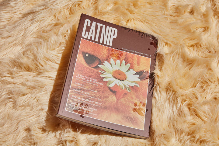 Catnip Magazine on a fluffy surface featuring a cat with a daisy on its nose, showcasing cat culture and feline curiosity.