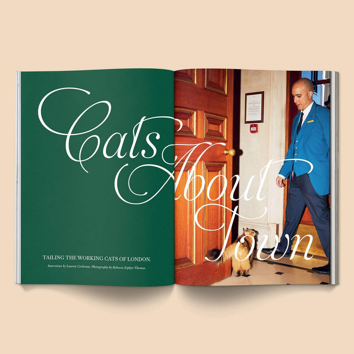 Open pages of Catnip Magazine: Volume 2 showcasing &