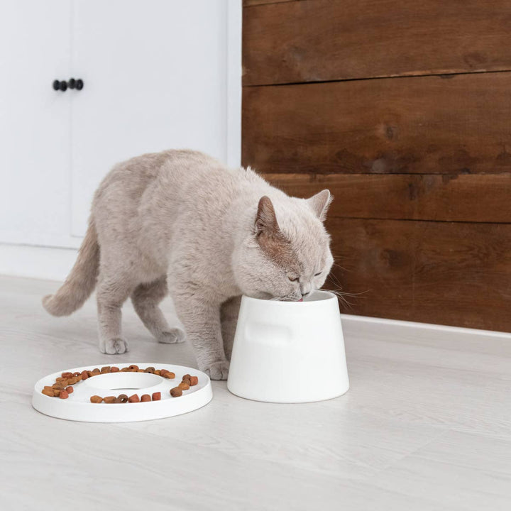 cat feeding bowl