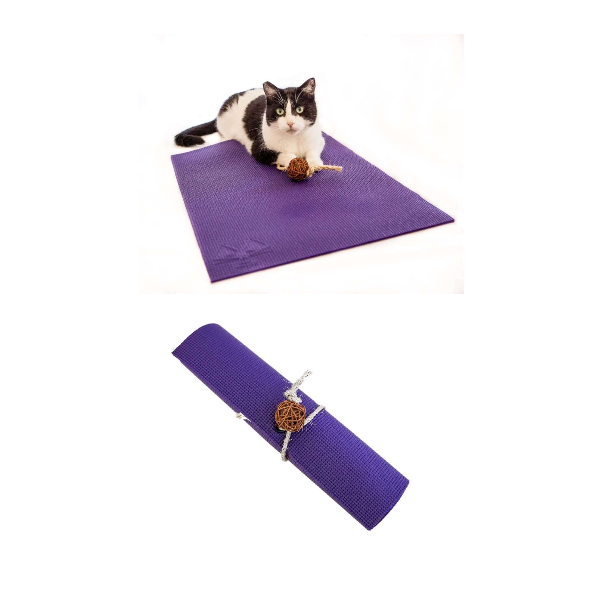 Purple yoga cat mat for scratching, lounging, and playing, featuring a playful cat and natural twine ball.