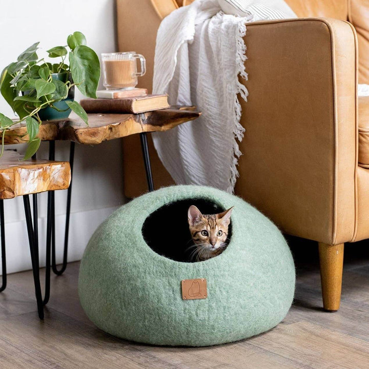 Cat sitting inside a green felted wool cat cave bed near a cozy chair and plants.