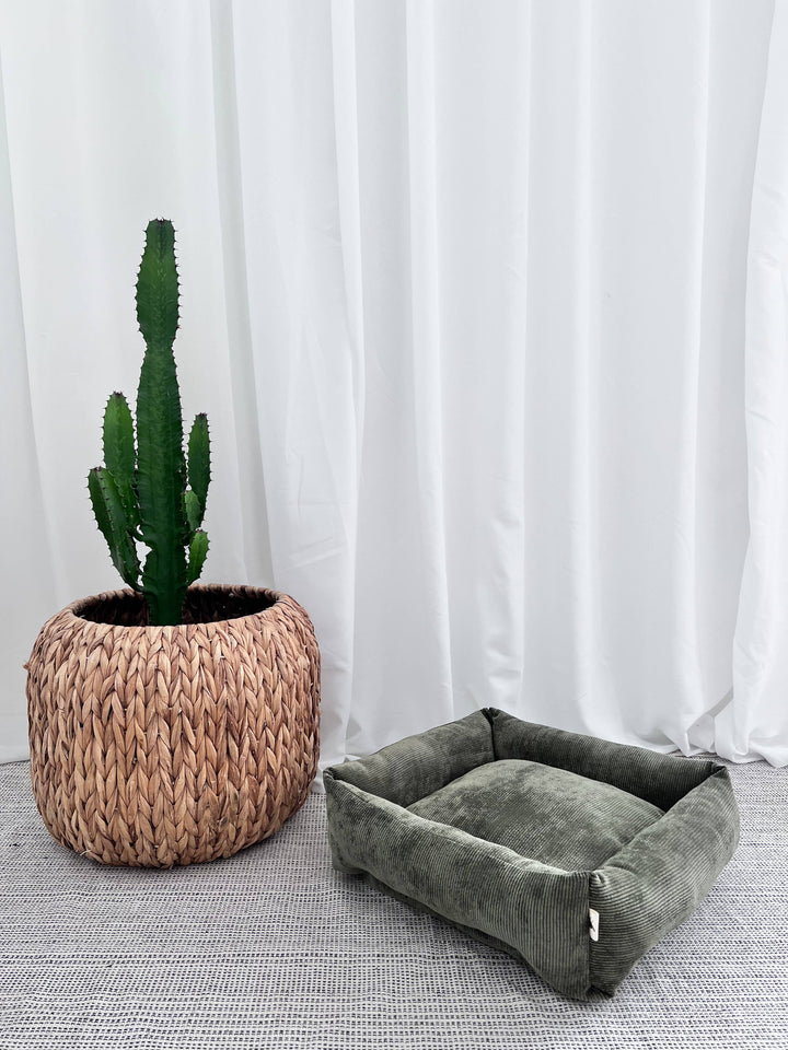 Handmade dark green corduroy pet bed next to a woven basket with a cactus plant, perfect for small cats and modern interiors.