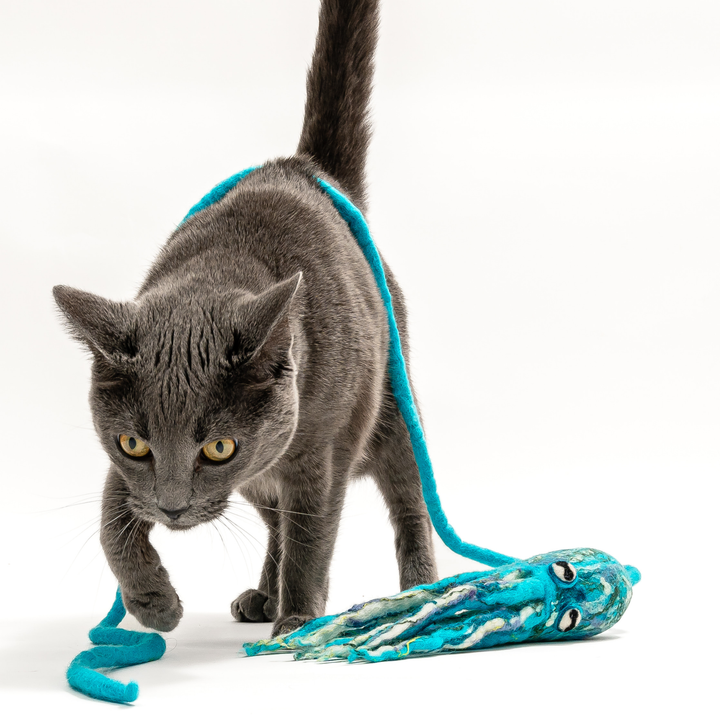 Wool Octopus Cat Toy with 4-Foot Tether