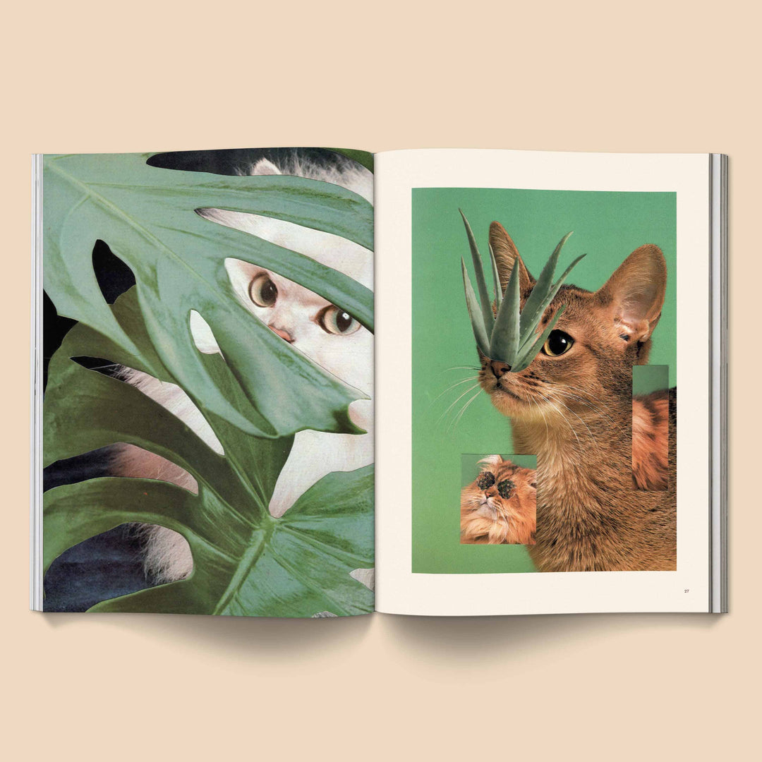 Open Catnip Magazine showing unique cat art with feline faces peeking through green plants, showcasing playful and curious cat culture.