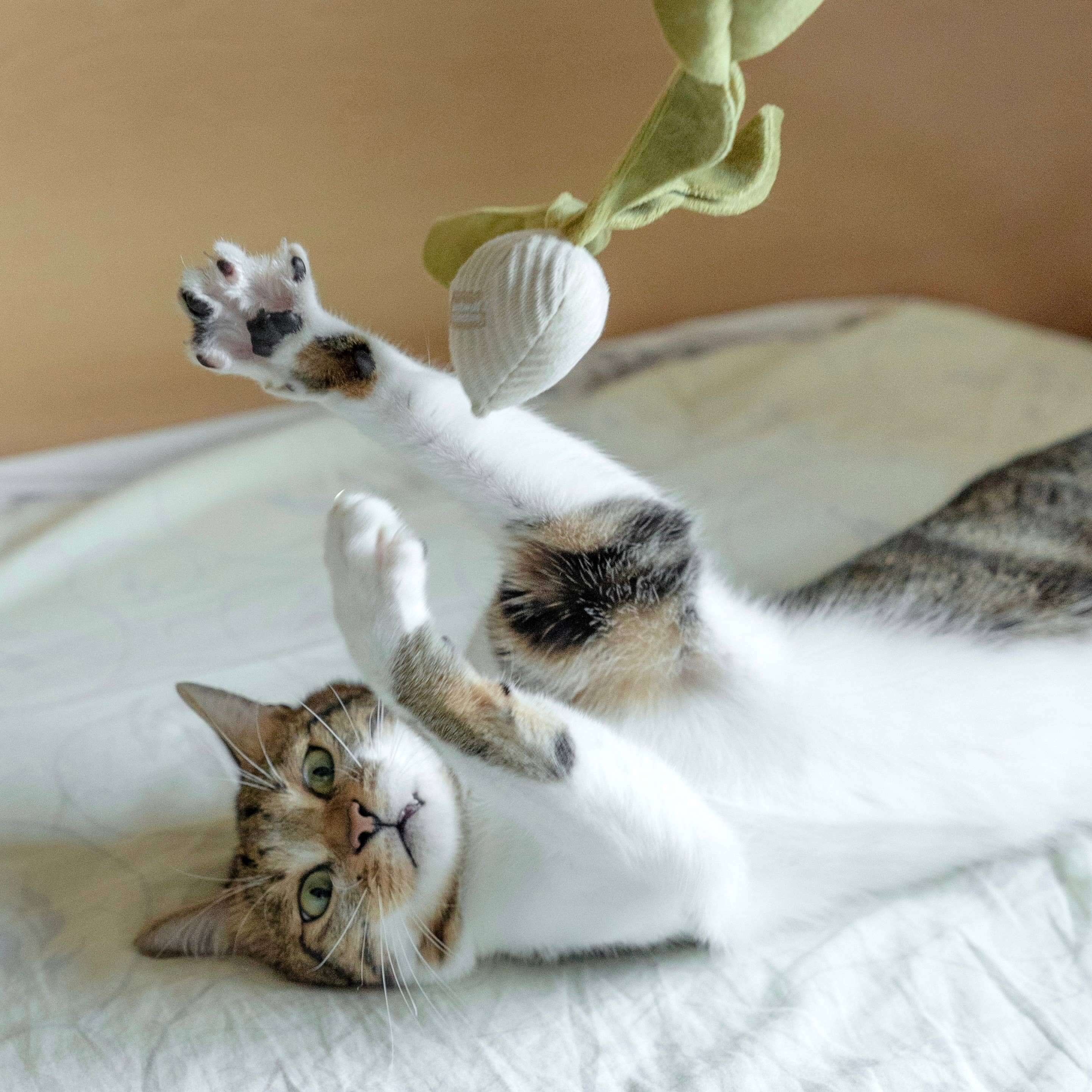 Cat plays with soft radish catnip toy featuring floppy leaves, perfect for fun and engagement.