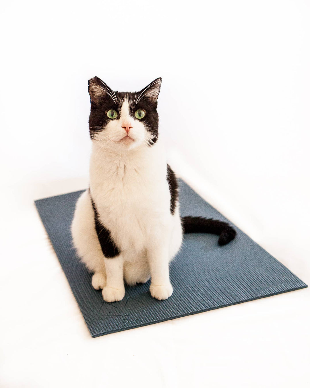 Black and white cat sitting on a Slate Blue Yoga Cat Mat, designed for scratching, lounging, and playing.