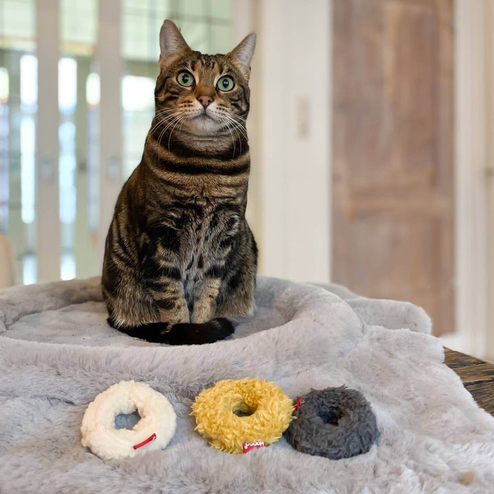 Mini Donuts Set of 3