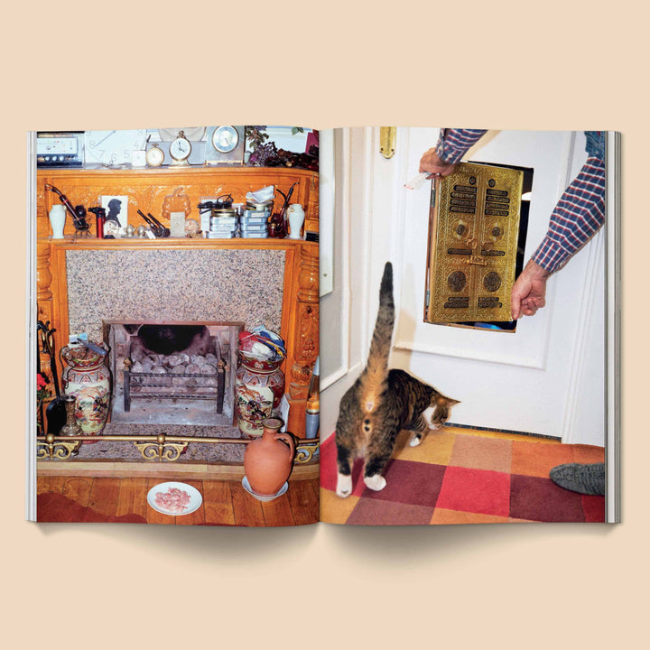 Cat exploring a vintage room as shown in Catnip Magazine, a 216-page collectible publication about unique cat culture and feline flair.