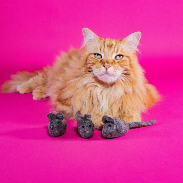 Orange cat lounging with three felt mice toys on a pink background, showcasing a playful pet accessory.