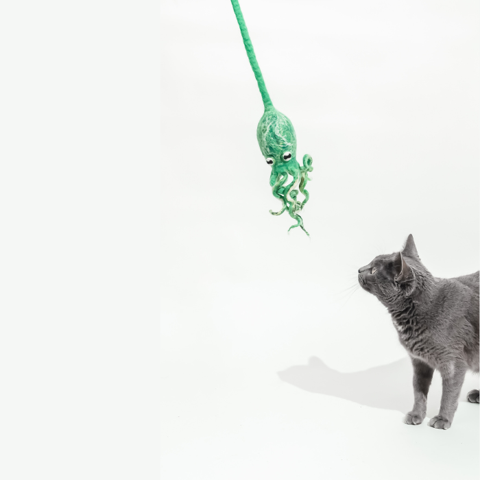 Wool Octopus Cat Toy with 4-Foot Tether