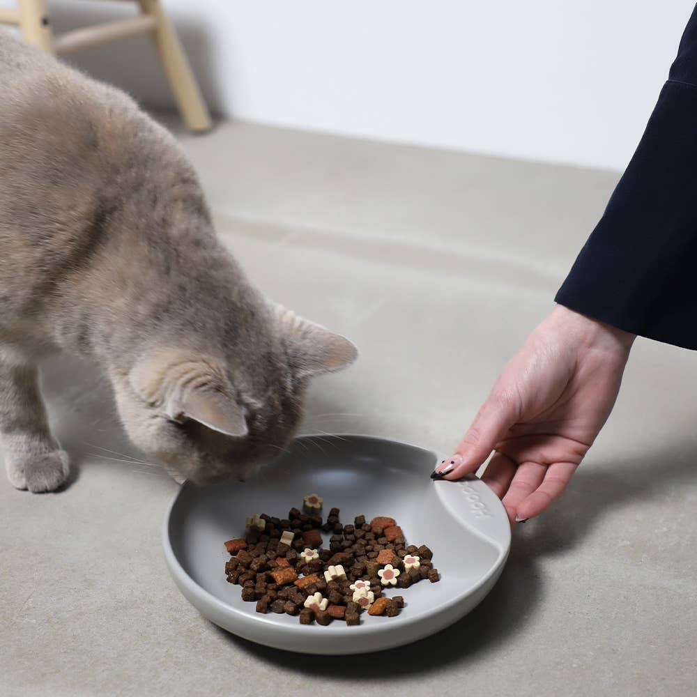 Grey Plate cat food bowl with food being presented to a cat