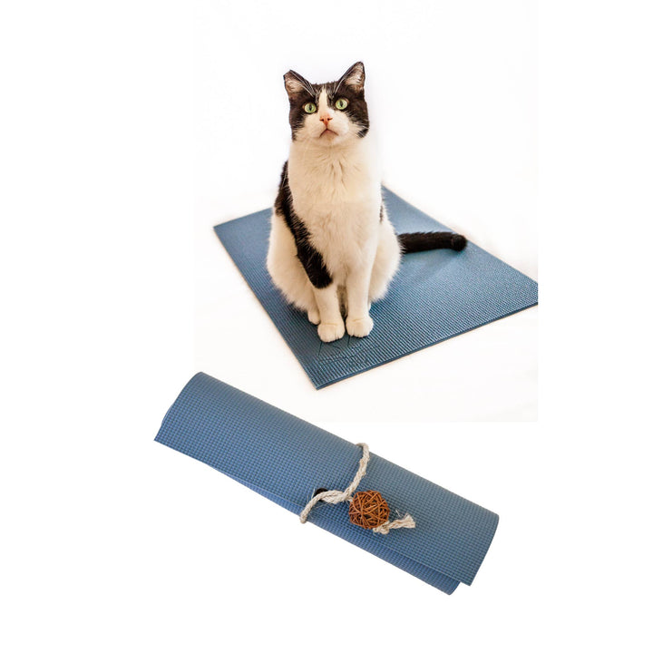 Slate blue yoga cat mat with a black and white cat sitting on it, and a rolled-up mat tied with natural colored twine balls.