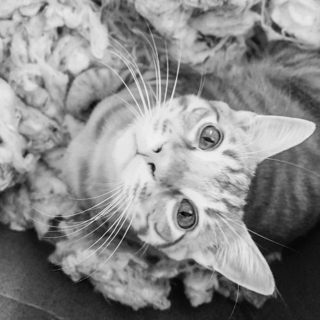 Granny Gertrude Organic Catnip Cat Kicker 