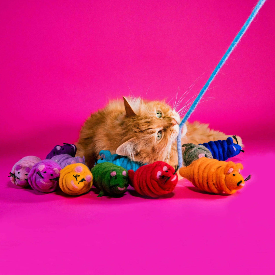 Cat playing with colorful felt mouse toys on a pink background, showcasing Monte the Mouse cat toy line.