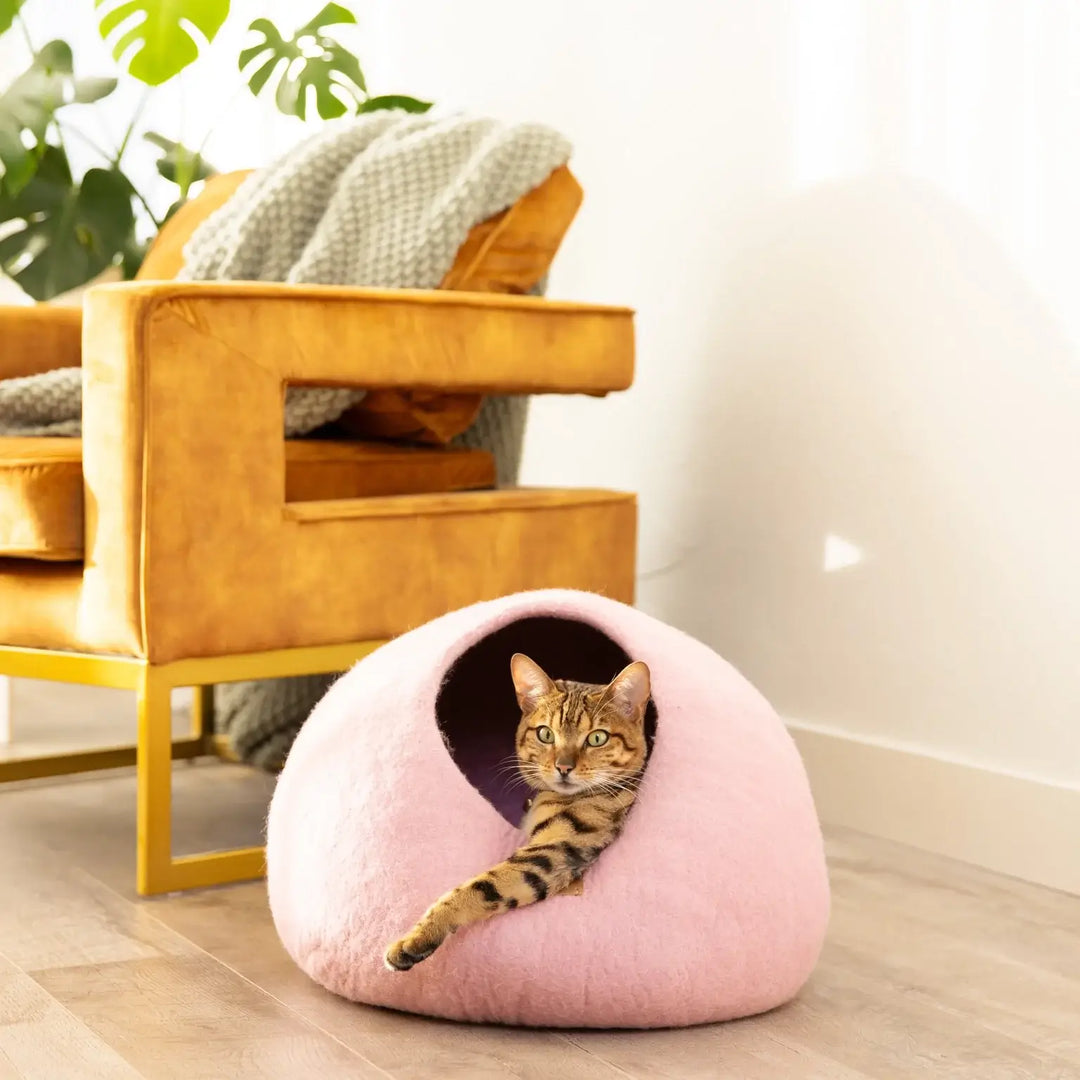 Cat relaxing in a pink felted wool cat cave bed next to a cozy chair.