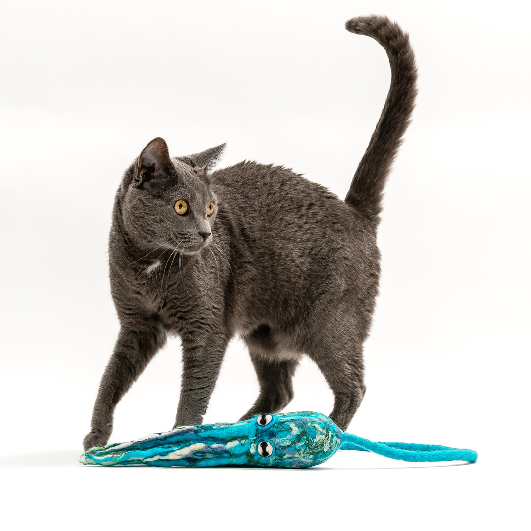 Wool Octopus Cat Toy with 4-Foot Tether