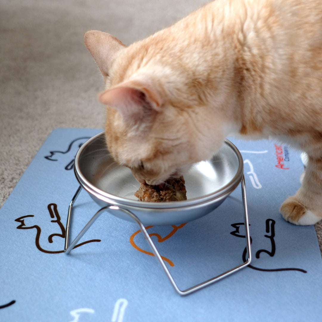 Stainless Steel Raised Cat Bowl &amp; Stand