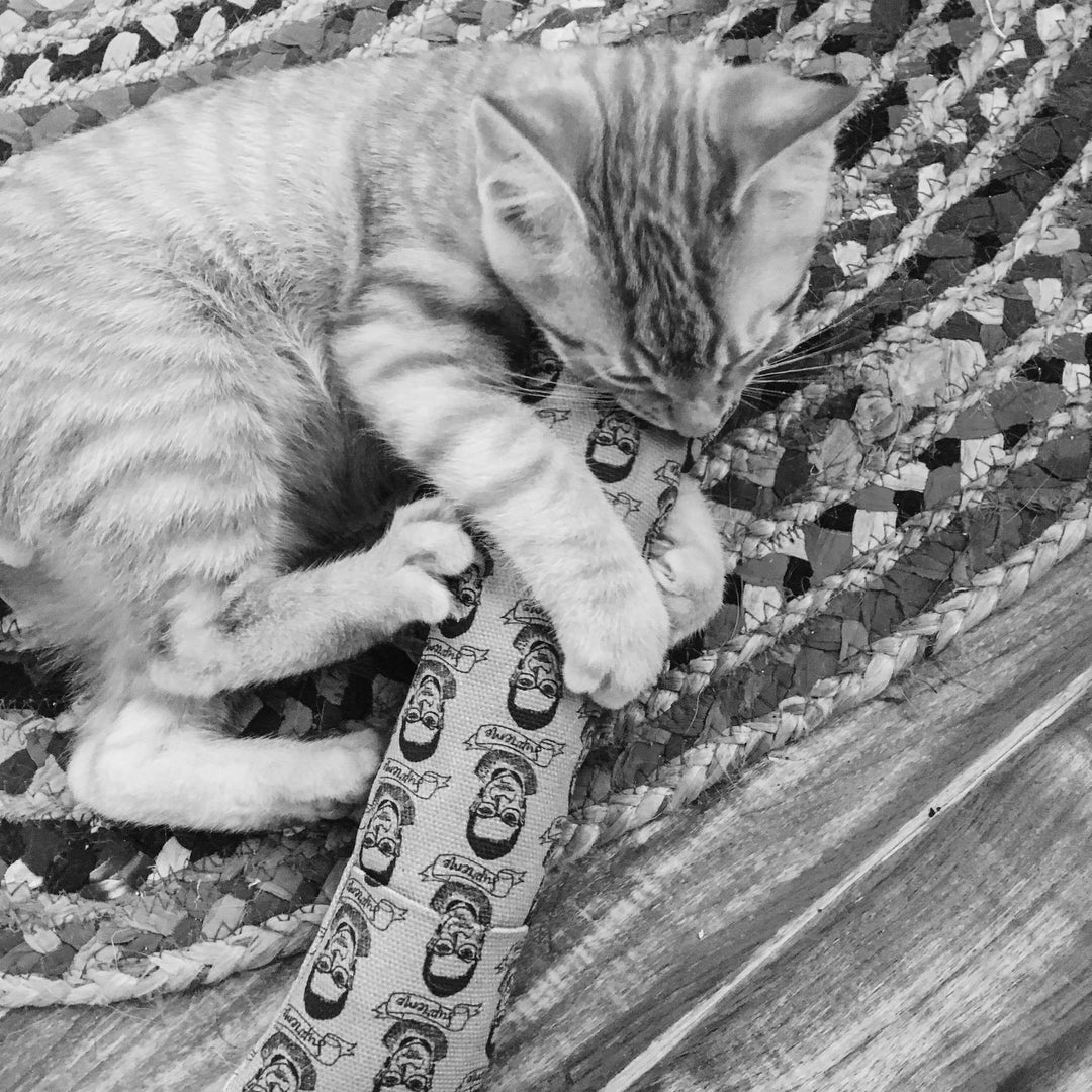 Granny Gertrude Organic Catnip Cat Kicker 