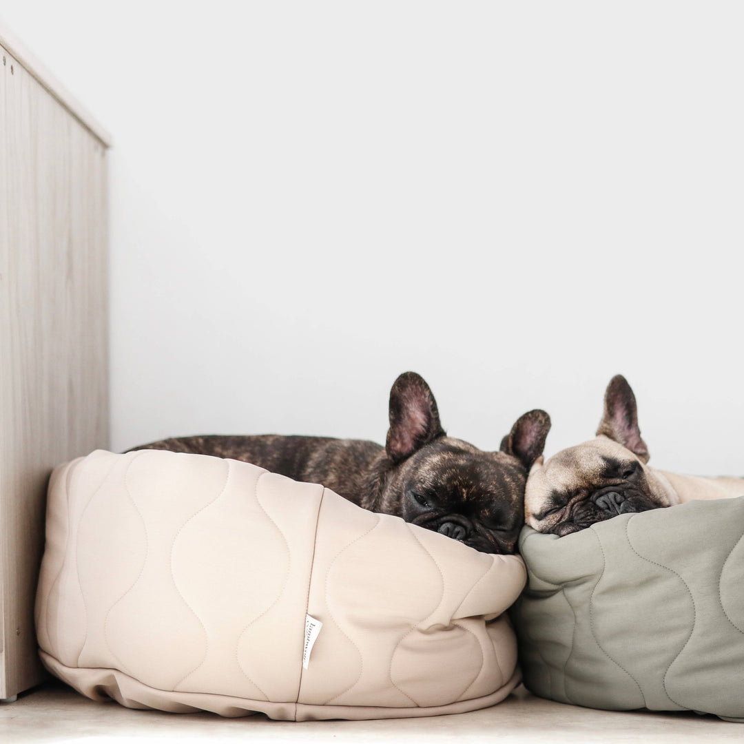 beds for dogs