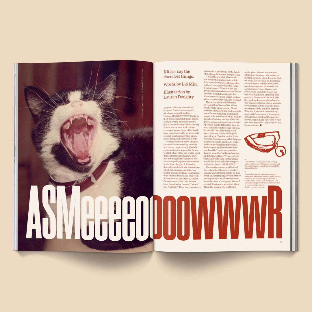 Open Catnip Magazine showing a playful cat illustration with text "ASMeeoooowwwR" on the pages.