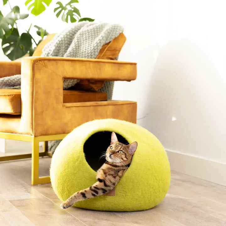 Cat lounging in a yellow felted wool cat cave bed, beside a mustard armchair with a green plant and cozy blanket in the background.