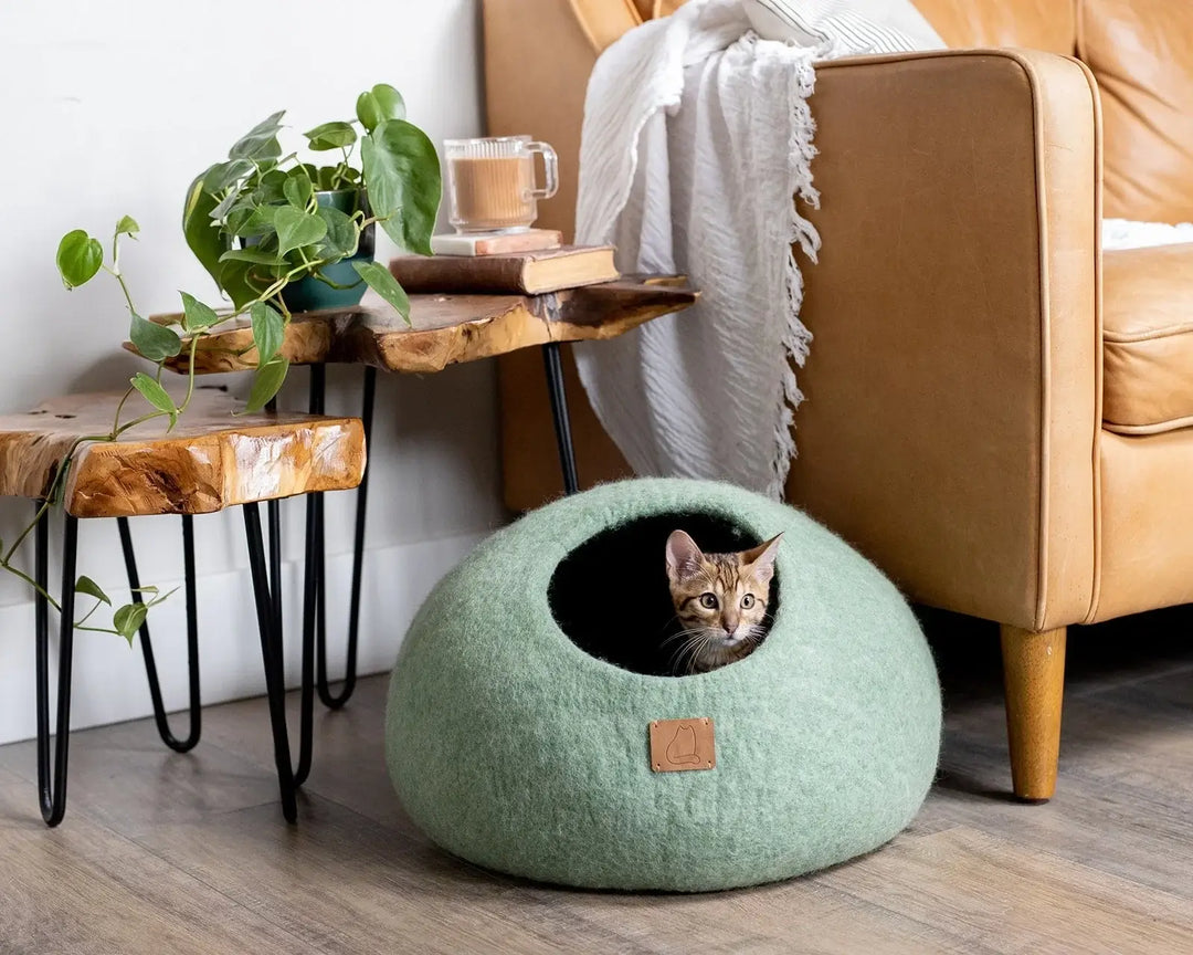 Cat sitting inside a green felted wool cat cave bed next to a cozy living room setup with rustic furniture and potted plant.