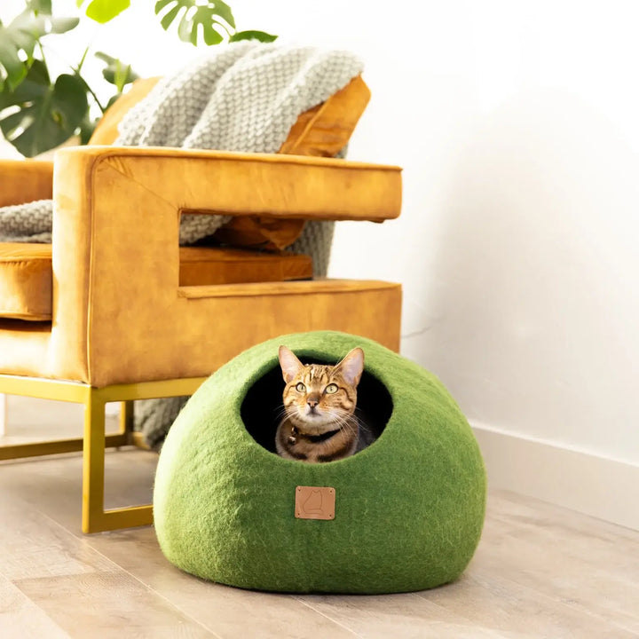 Cat sitting inside a green felted wool cave bed next to a stylish yellow chair.