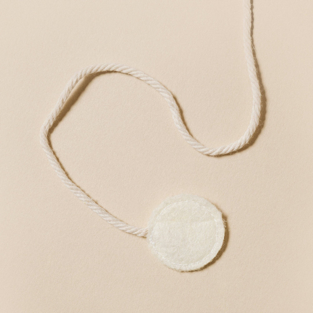Seashell Cat Toy