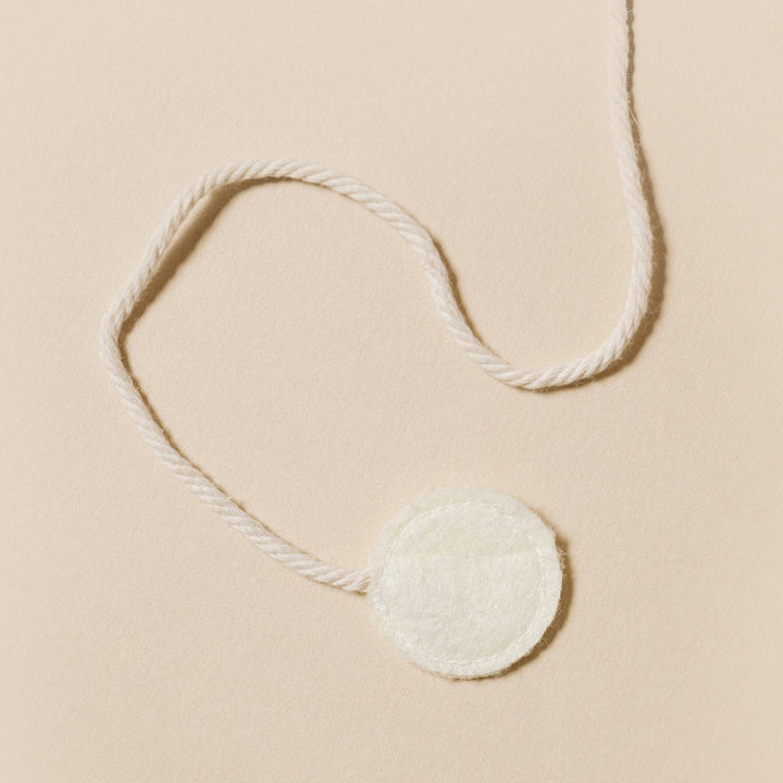 Seashell Cat Toy