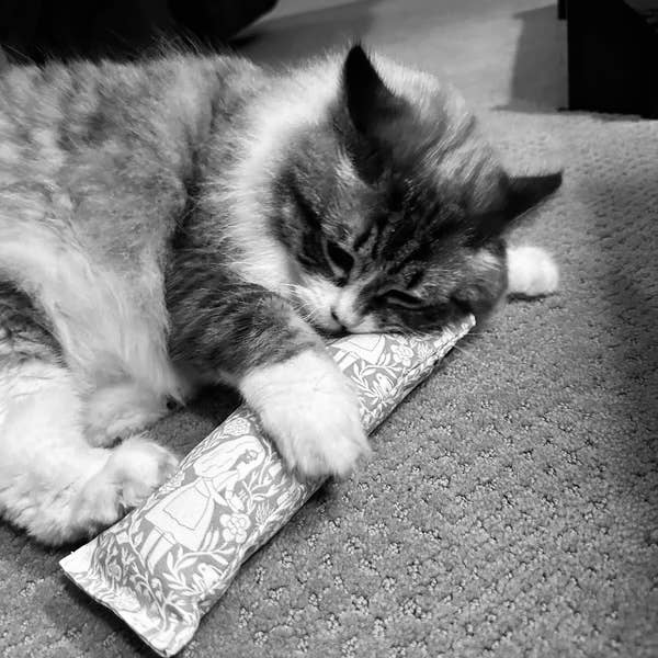 Granny Gertrude Organic Catnip Cat Kicker 