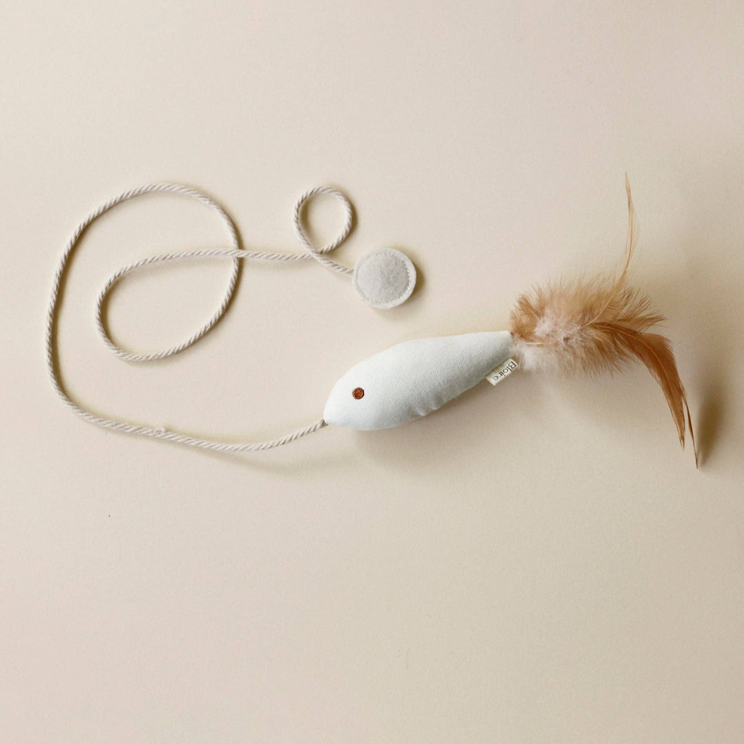 cat toy fish