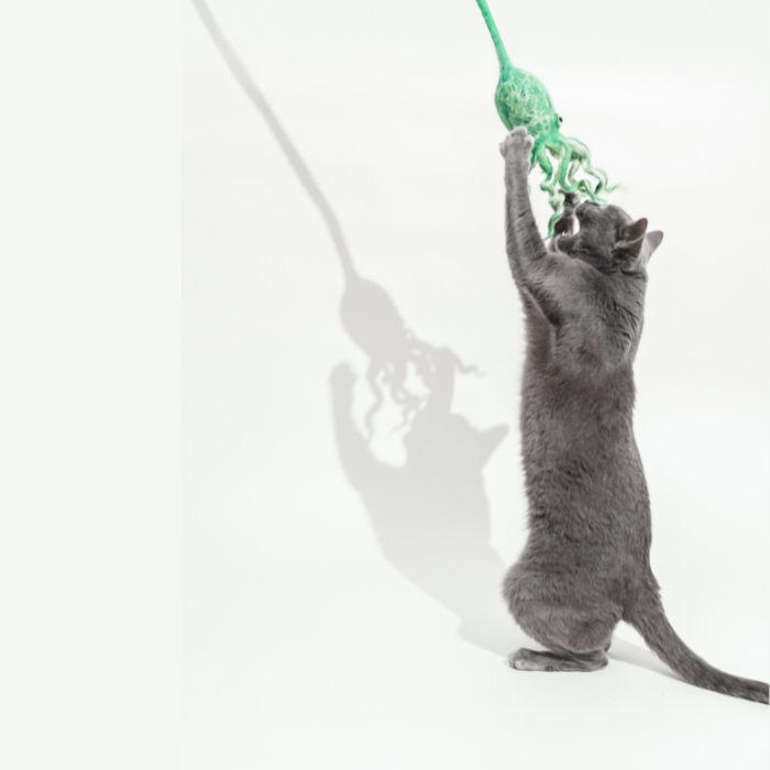 Wool Octopus Cat Toy with 4-Foot Tether