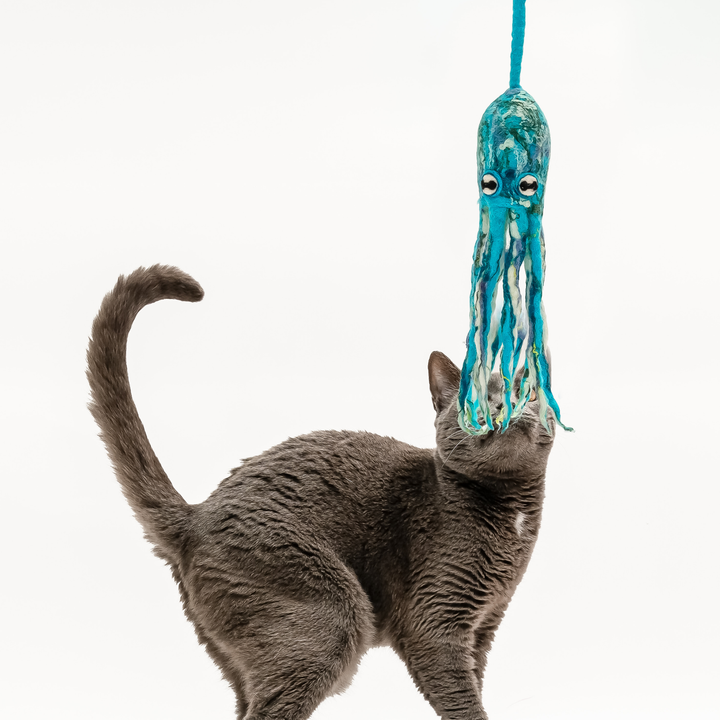 Wool Octopus Cat Toy with 4-Foot Tether