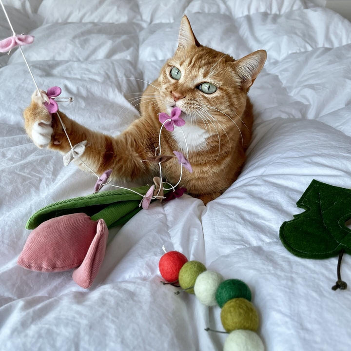 Butterfly Cat Toy