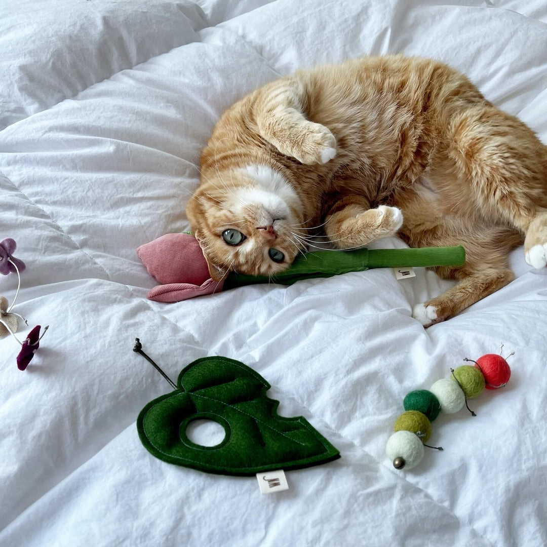 Orange cat playing with stylish Tulip Catnip Toy and other unique cat toys on a white bed.