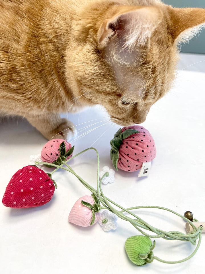 Orange cat playing with Strawberry Rod Cat Toy featuring ripening strawberries and handmade with corduroy, velvet, and birch. Unique cat teaser.