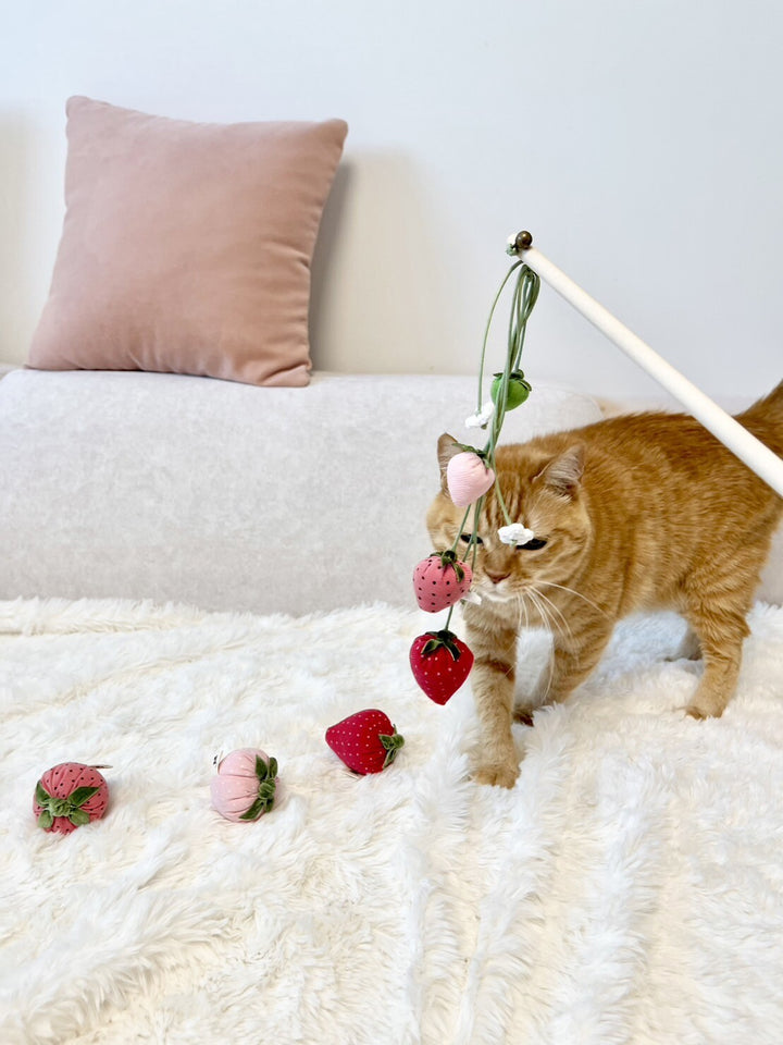 Ginger cat playing with Strawberry Rod Cat Toy, a handmade cat wand featuring strawberries and flowers, perfect for summer fun.