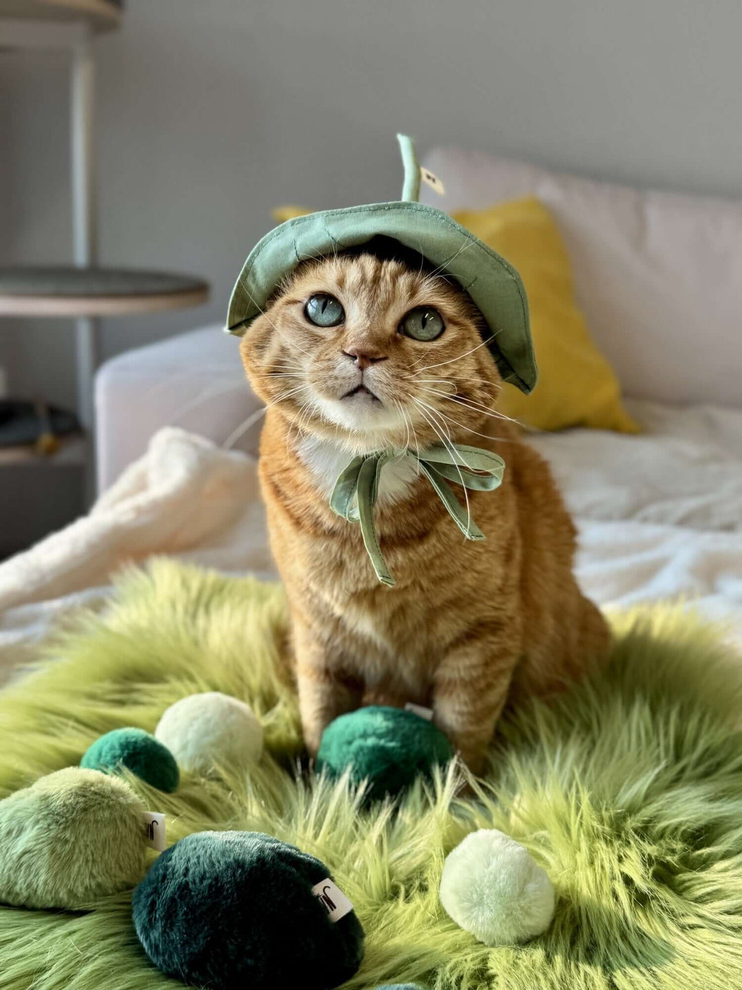 Adorable cat wearing a lotus leaf hat surrounded by cute catnip toys on a cozy green rug.