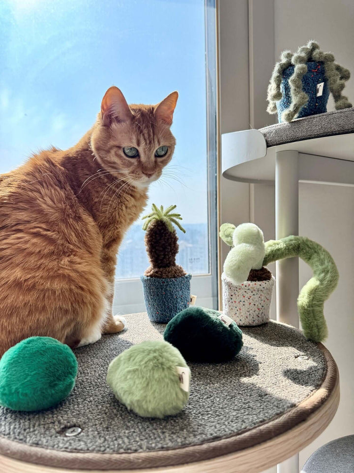 Orange cat playing with colorful catnip toys and vibrant potted catnip plants in a sunlit room.