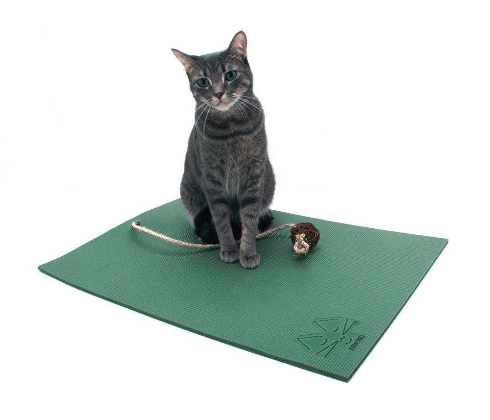 Yoga Cat Mat