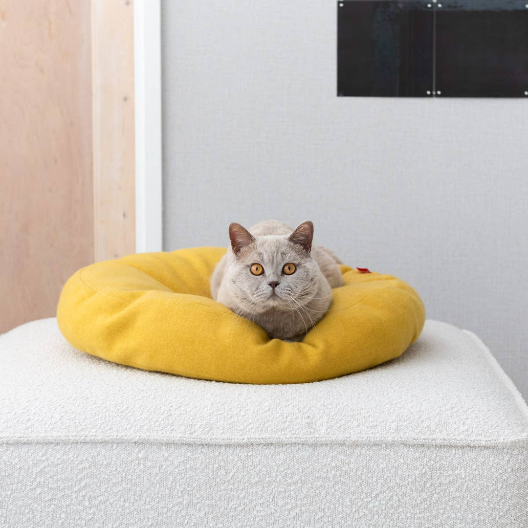 Cat lounging comfortably on a cozy yellow donut-shaped bed, showcasing its soft design and perfect fit for any interior.